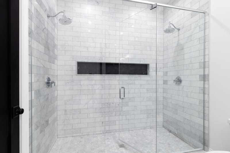 Minimalist Frameless Shower